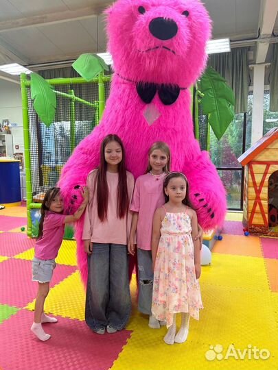 Услуги Аниматора