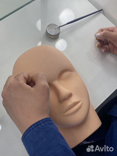 Обучение на бровиста