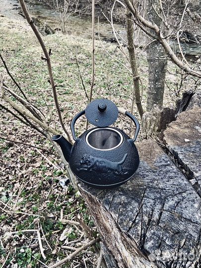 Чайник,заварочный,чугунный,не керамика