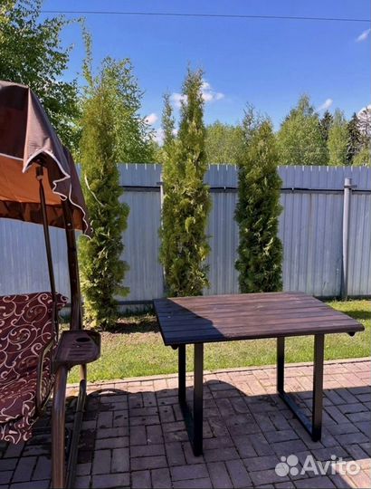 Туи из питомника