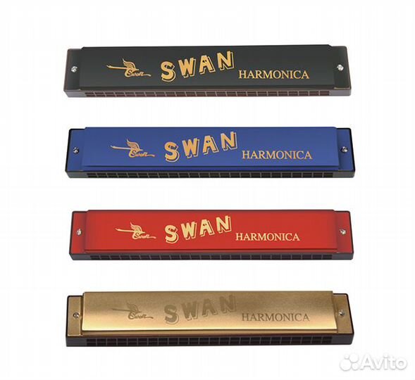 SW24-2 Губная гармошка тремоло, Swan