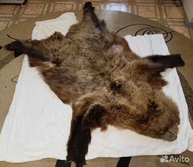 Настенный или напольный ковер