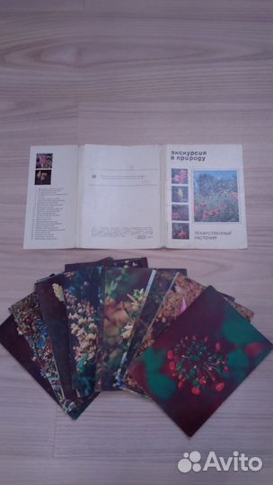 Набор открыток Лекарственные растения 1977 г