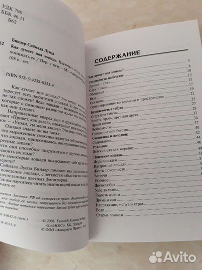 Как думает лошадь Биндер С