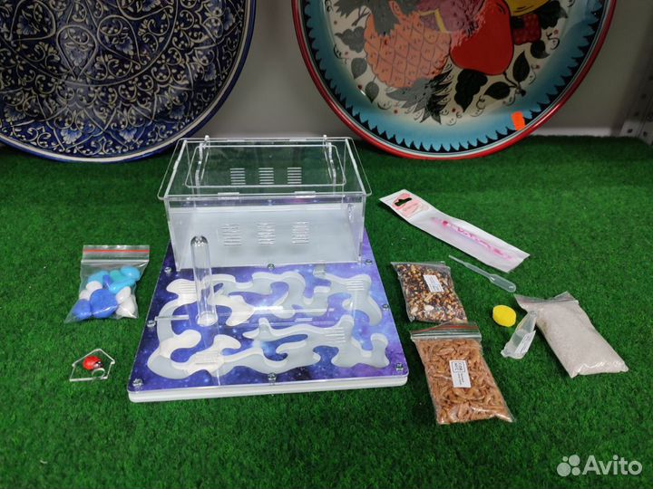 Муравьинная ферма