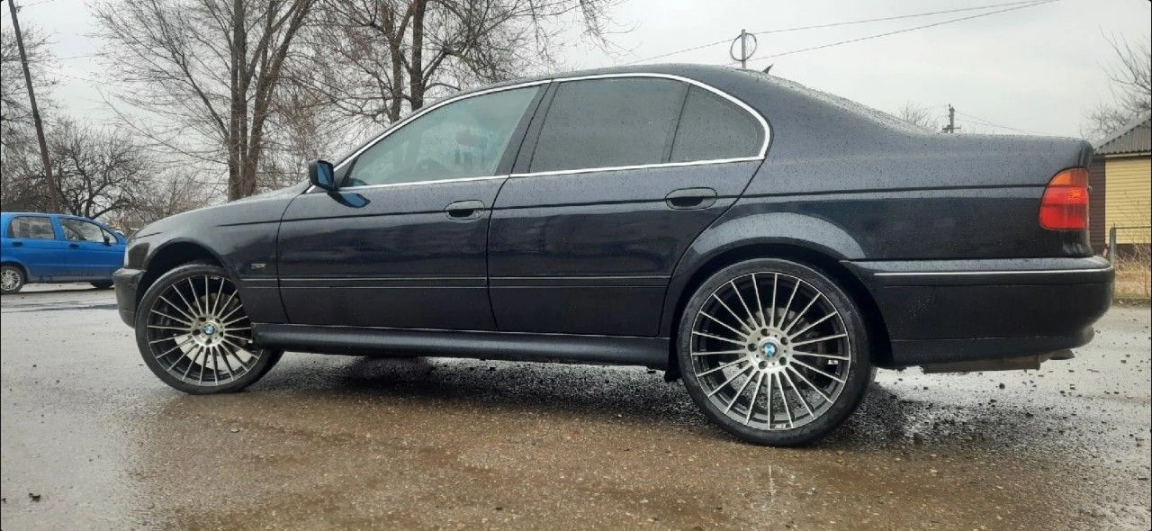 BMW 5 серия: фото владельца