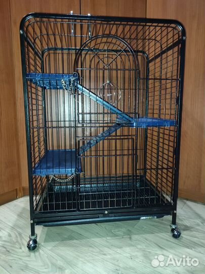 Витрина для шиншилл и дегу