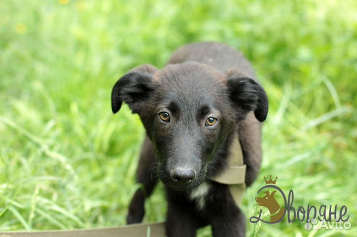 Красивая и обаятельная Ульяша