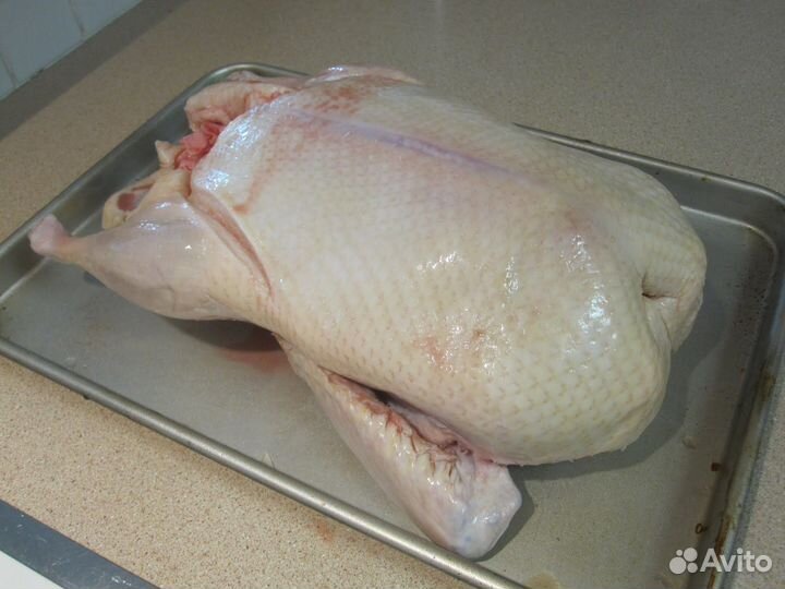 Мясо индоуток