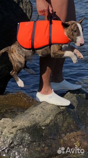 Спасательный жилет для собак besto L