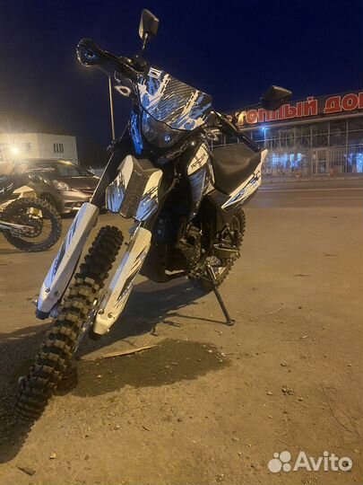 Продам понтеру