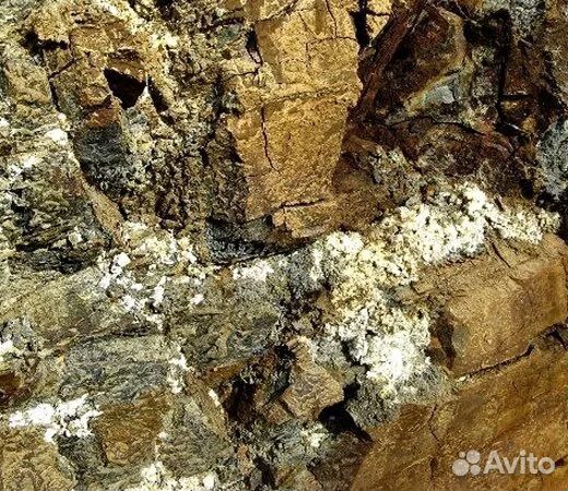 Каменное масло