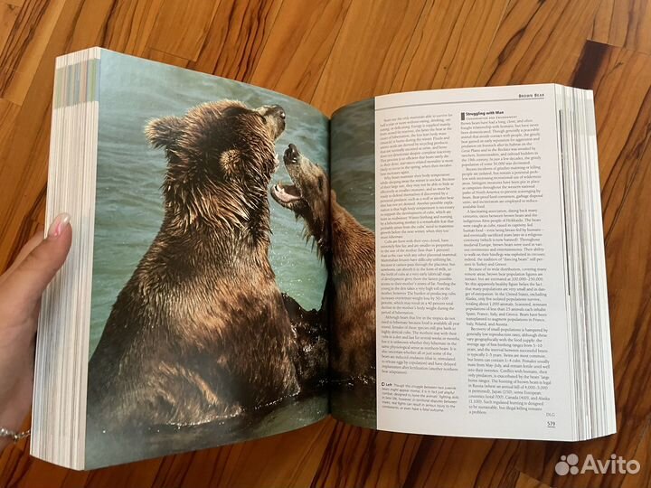 The encyclopedia of Mammals