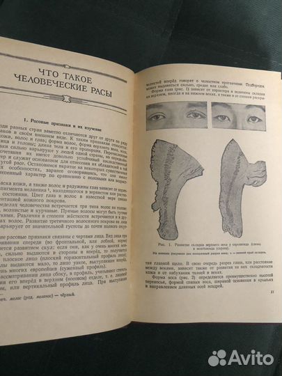 М.Ф. Нестурх. Человеческие расы. 1954 год