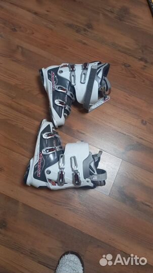 Горные лыжи