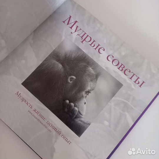 Книга Мудрые советы