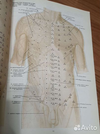 Анатомо-клинический атлас рефлексотерапии