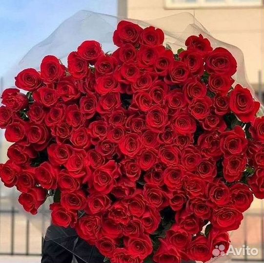 Розы Букеты Цветы Розы 31 101 151 201 Доставка