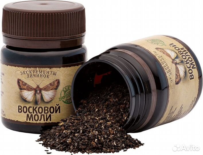 Восковая Моль (Огневка пчелиная)