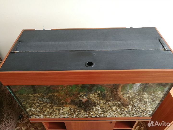 Аквариум с рыбами