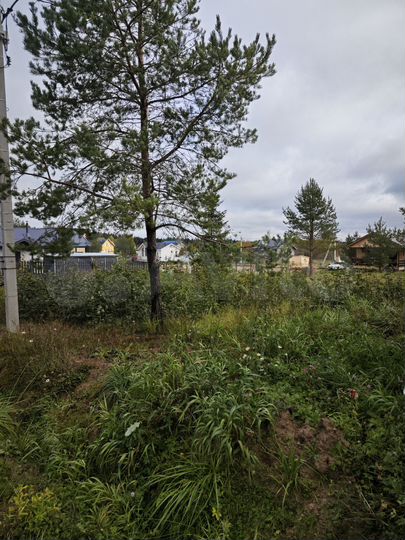 Участок 8 сот. (СНТ, ДНП)