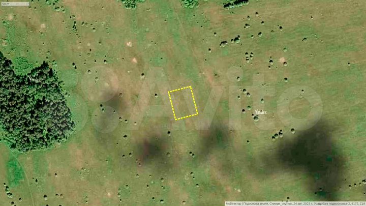 Участок 20 сот. (СНТ, ДНП)