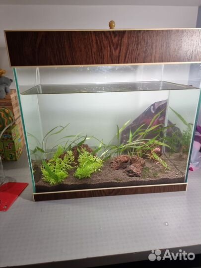 Аквариум