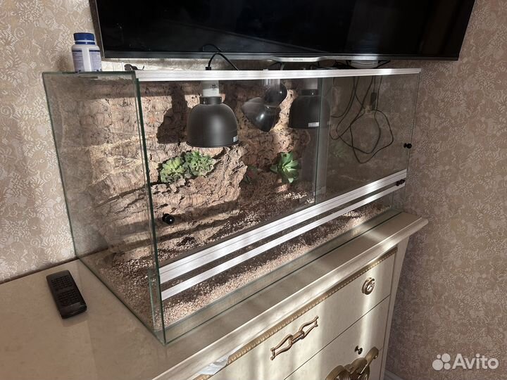 Террариум для рептилий бу