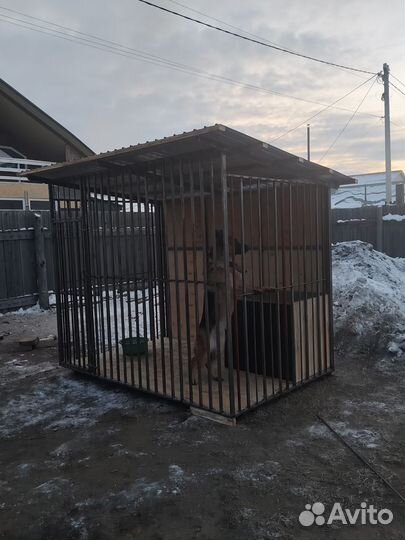 Вольер для собак бу уличный