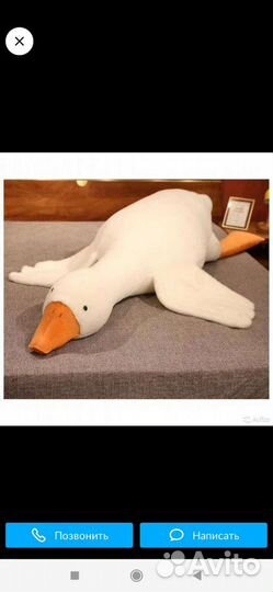 Гусь обнимусь