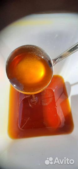 Алтайский мед оптом 2023