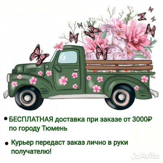 Драцена Комнатные растения Тюмень