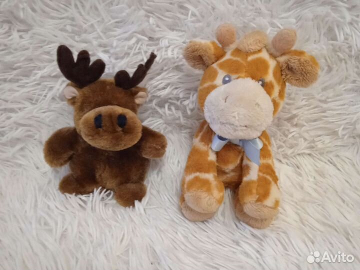 Лось и жирафик