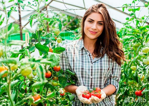 Разнорабочие в теплицу