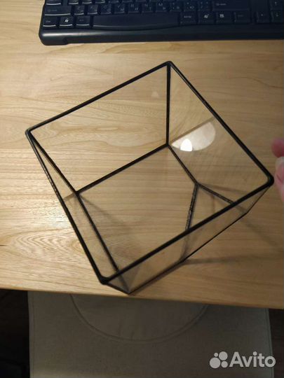 Террариум флорариум для суккулентов растений цвето