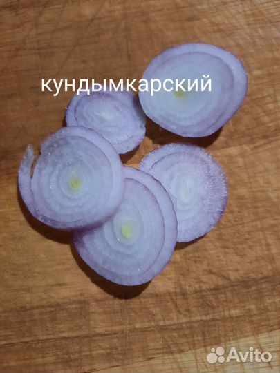 Лук семейный шалот и кундымкарский