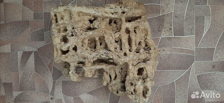 Грот, аквариум, и корм для рыб