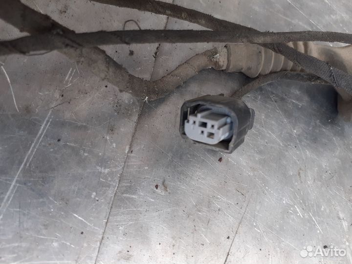 Бмв е39 жгут проводка парктроника задняя 8377792