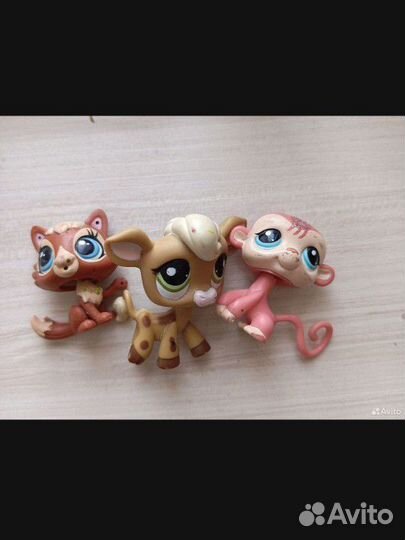 Littlest pet shop