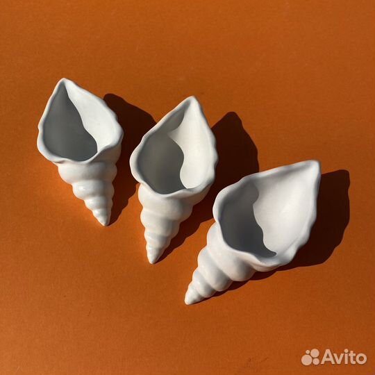 Морские раковины из гипса для украшений