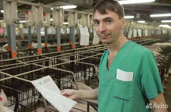 Разнорабочий вахта