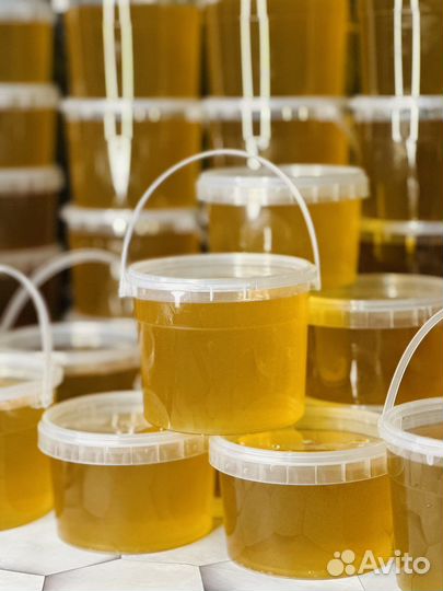 Мёд оптом с Калининградской пасеки