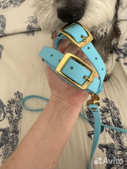 Поводок и шлейка Arctic Lion биотановые