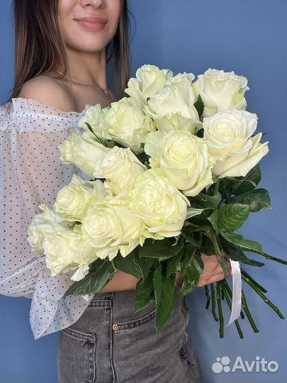 Розы Эквадор коупгые мондиаль