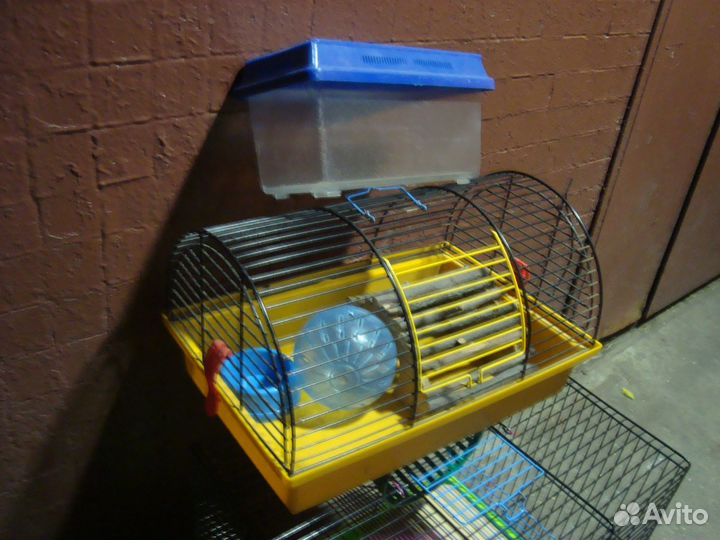 Клетки для хомяков