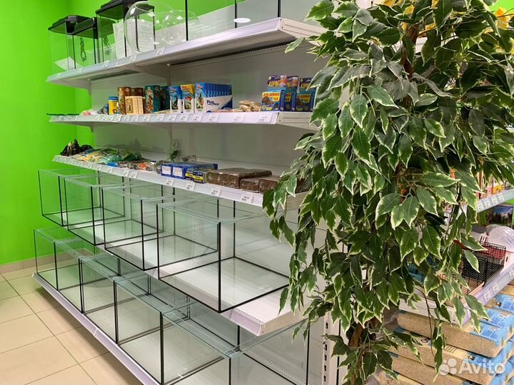 Зоомагазин в ТЦ в центре города, конкурентов нет