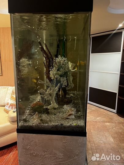 Аквариум