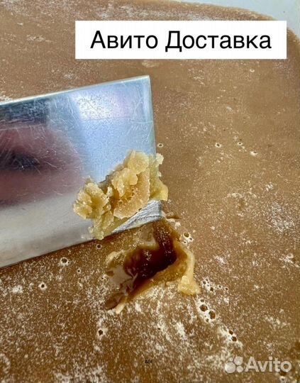 16 kg мёда 24 года из Алтая опт