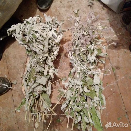 Мята, шиповник