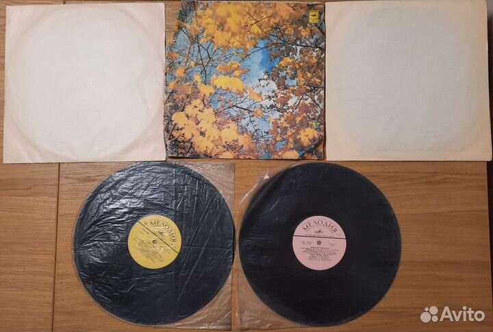 Виниловые пластинки